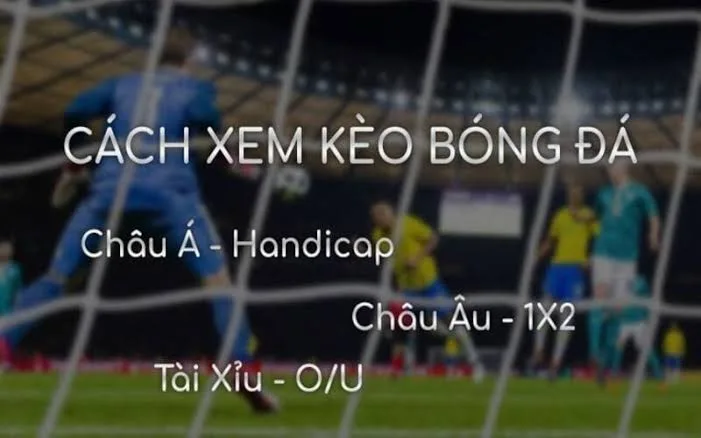 Cách xem kèo bóng đá chuyên nghiệp và bí quyết đọc bảng tỷ lệ hiệu quả