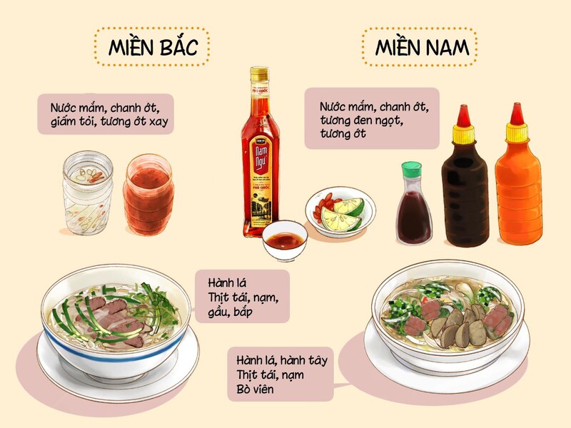 Phở miền Bắc thiên về vị thanh, còn phở miền Nam thường ngọt hơn và ăn kèm nhiều rau. 