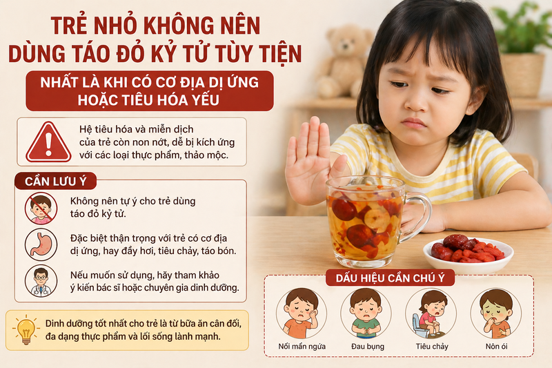 Trẻ nhỏ không nên dùng táo đỏ kỷ tử tùy tiện, nhất là khi có cơ địa dị ứng hoặc tiêu hóa yếu. 
