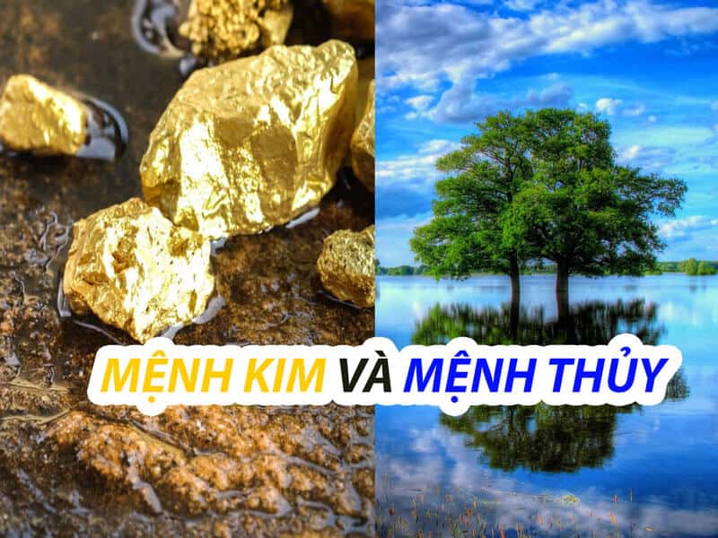 Mệnh Thủy thường hợp với mệnh Kim và Thủy, giúp tạo sự đồng điệu và dễ thấu hiểu trong các mối quan hệ. 