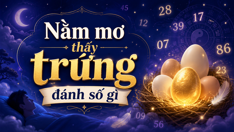 Các con số khi mơ thấy trứng chỉ mang tính tham khảo theo quan niệm dân gian, không nên xem là căn cứ chắc chắn. 