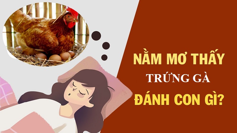 Mơ thấy trứng gà đánh số may 17 – 71 – 45