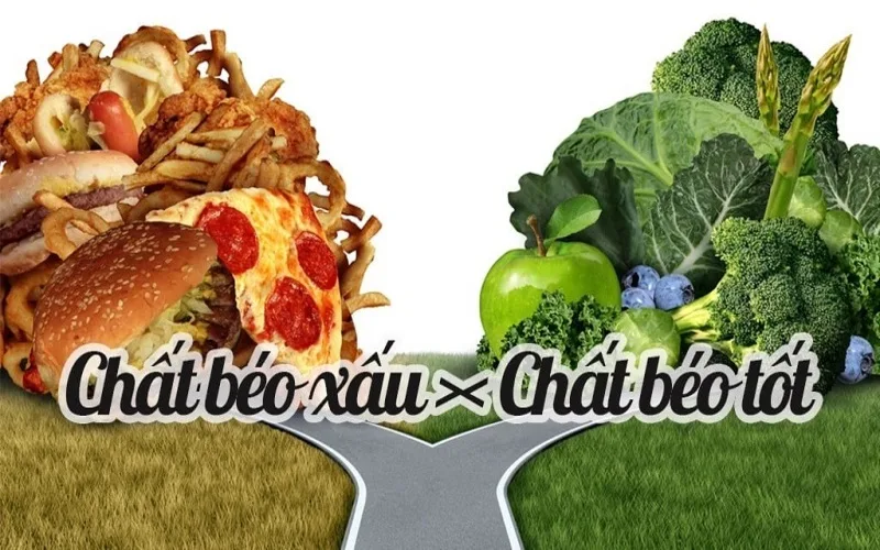 chat beo tot co trong nhung thuc pham nao danh sach chi tiet
