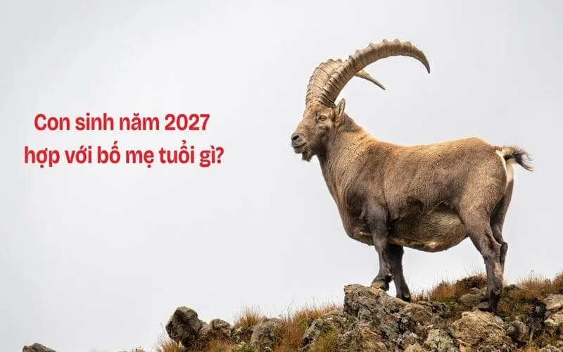 feat 1786096242
