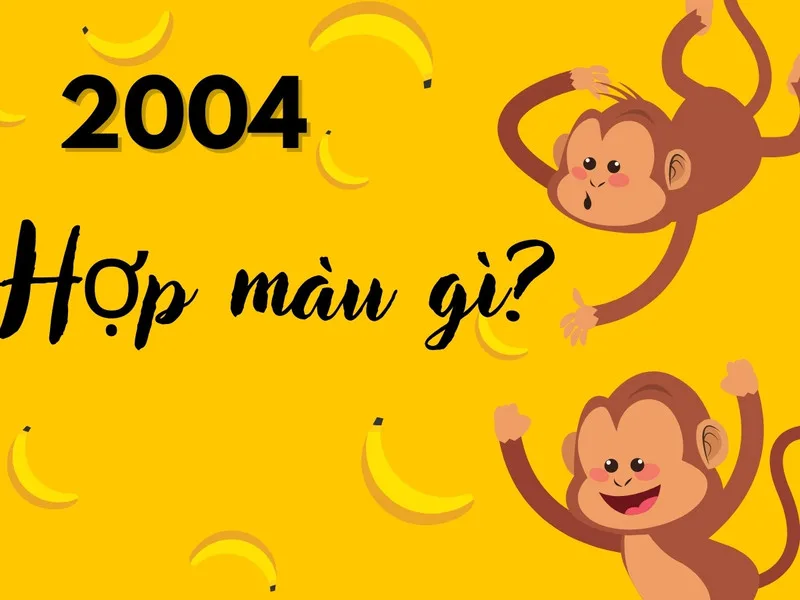 2004 hợp màu gì