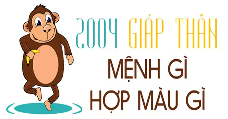 2004 hợp màu gì