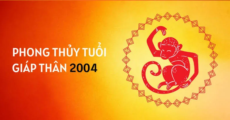 2004 hợp màu gì